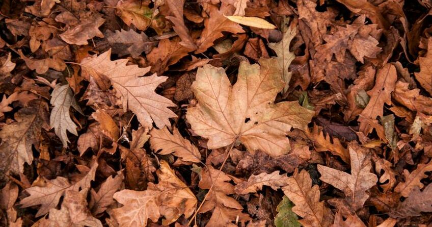 В&nbsp;Бишкеке пока без снега. Прогноз погоды на&nbsp;6-9 ноября 