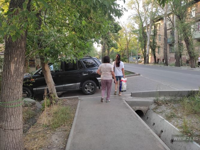 читателя 24-kg.com