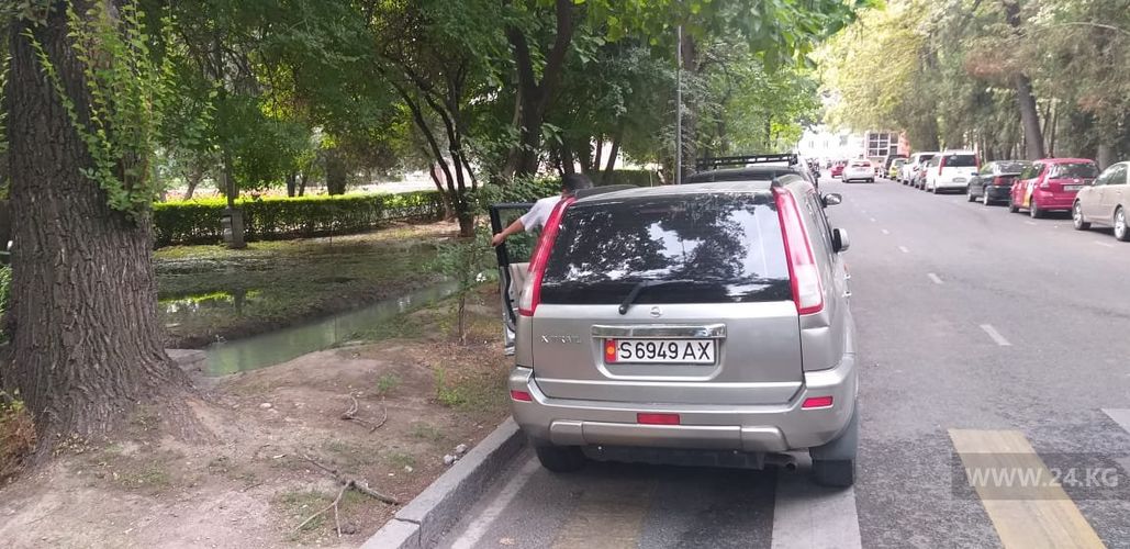 читателя 24-kg.com