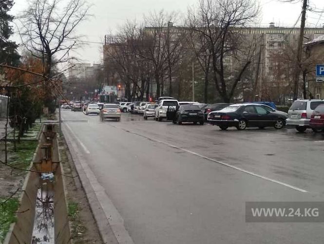 читателя 24-kg.com