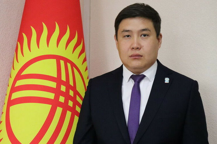 из интернета