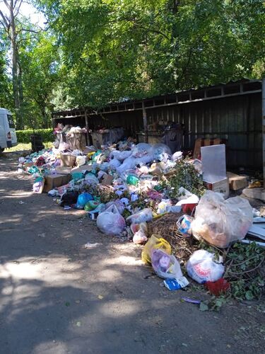 читателя 24-kg.com