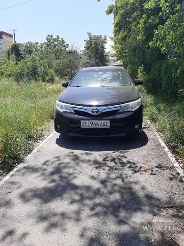 читателя 24-kg.com