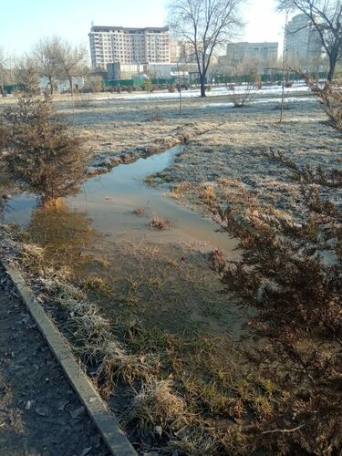 читателя 24-kg.com