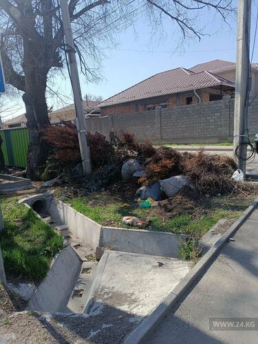 читателя 24-kg.com