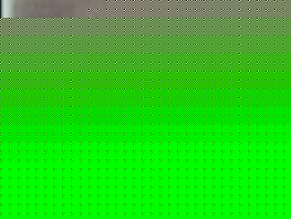 Constitutional Court sets date for next presidential elections in Kyrgyzstan