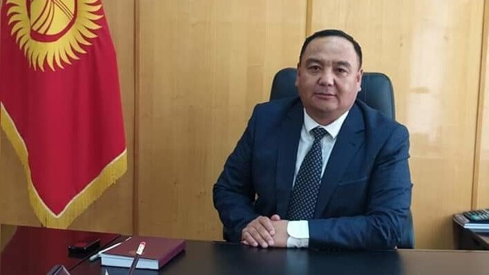 из интернета