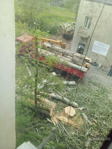 читателя 24-kg.com