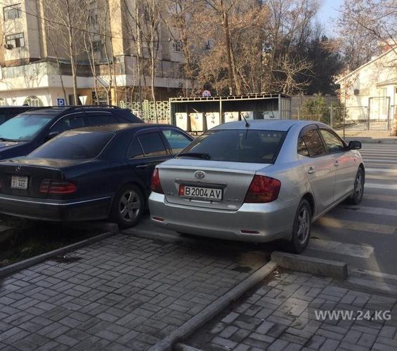 читателя 24-kg.com